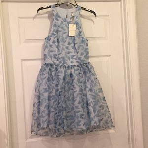 LC Cinderella dress